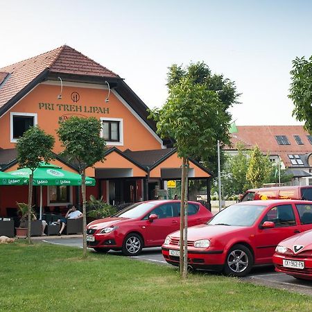 Guest House Pri Treh Lipah Ptuj Buitenkant foto