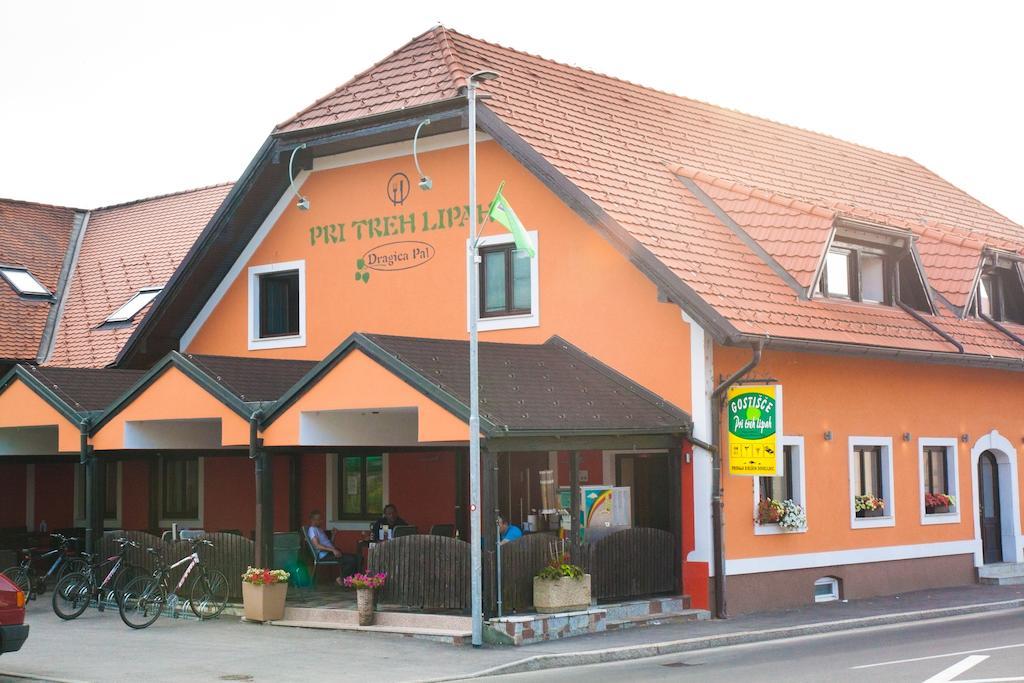 Guest House Pri Treh Lipah Ptuj Buitenkant foto
