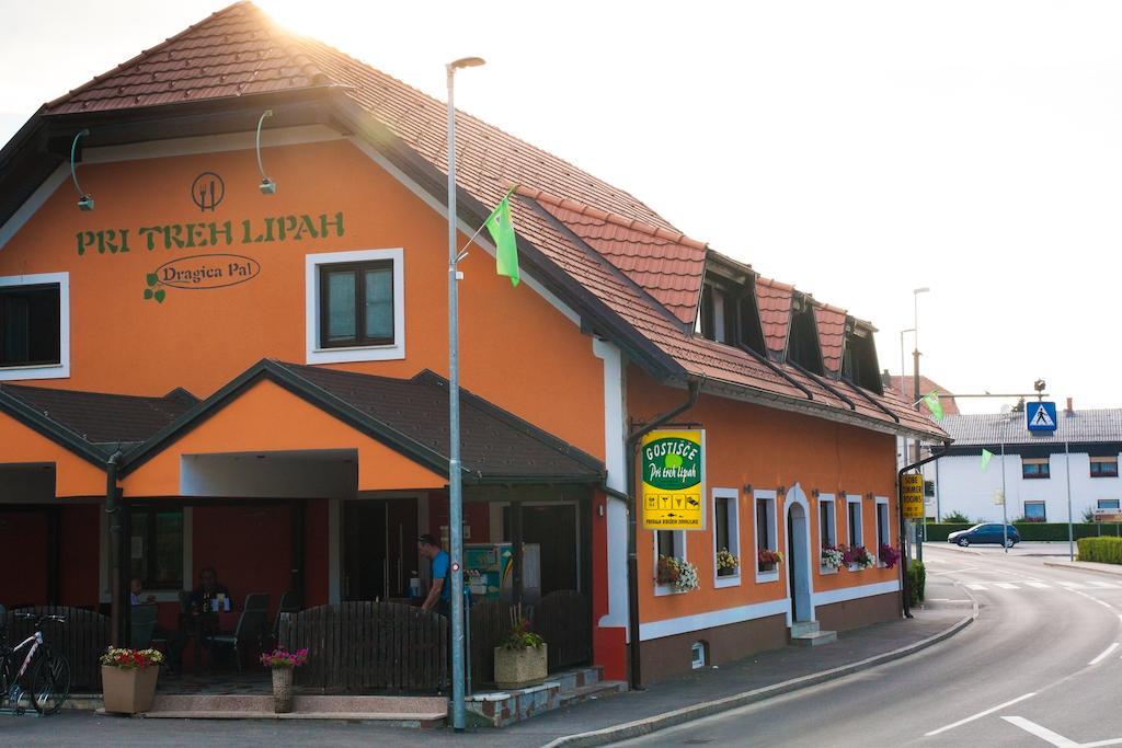 Guest House Pri Treh Lipah Ptuj Buitenkant foto