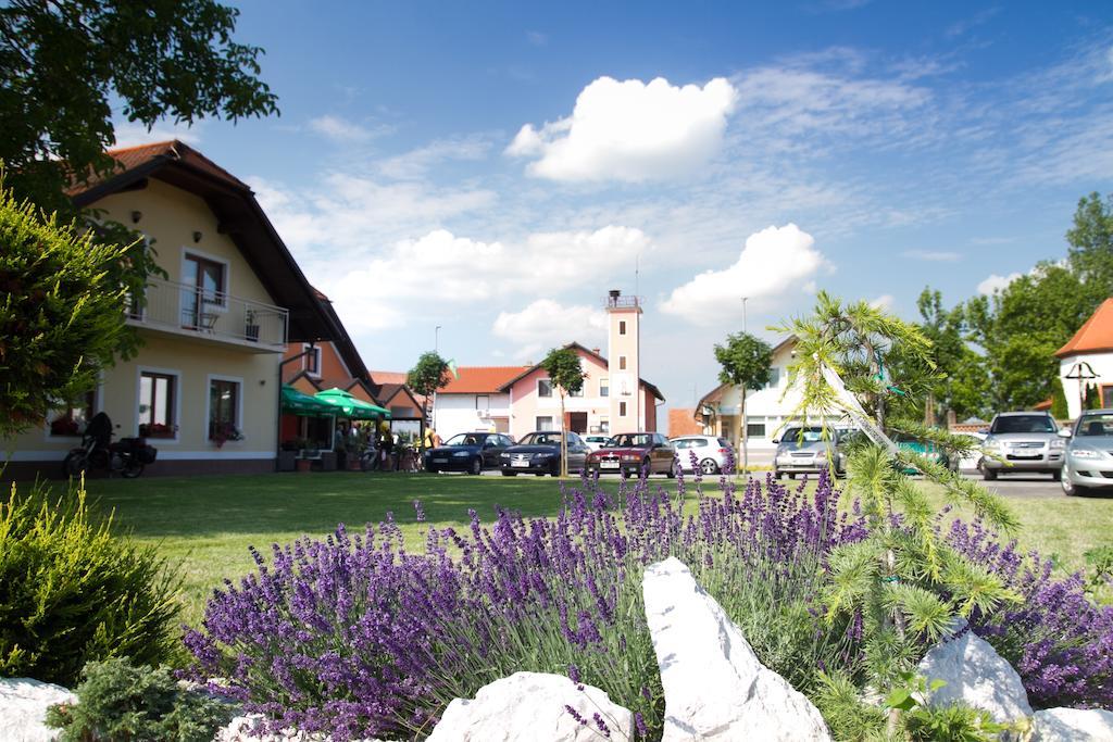 Guest House Pri Treh Lipah Ptuj Buitenkant foto